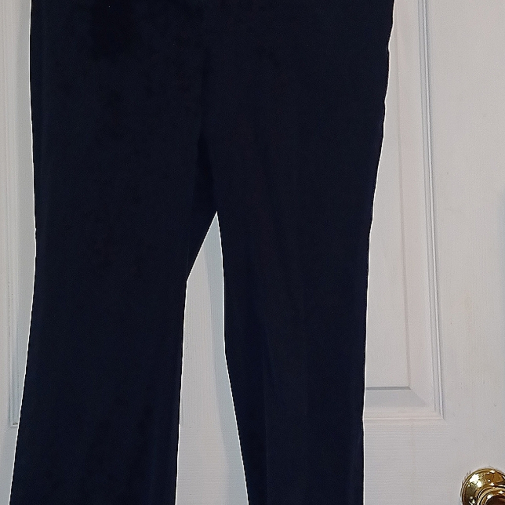 Navy Liz Claiborne pants